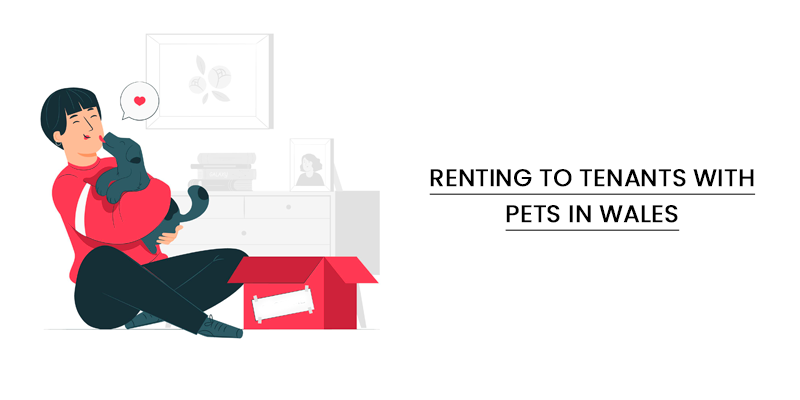 renting to tenants with pets in wales